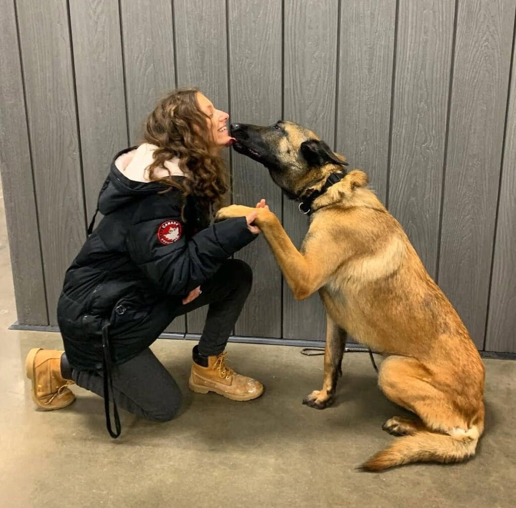 Jodi training a dog at their facility. He is kindly licking her face and giving her his paw, showing great dog manners.
